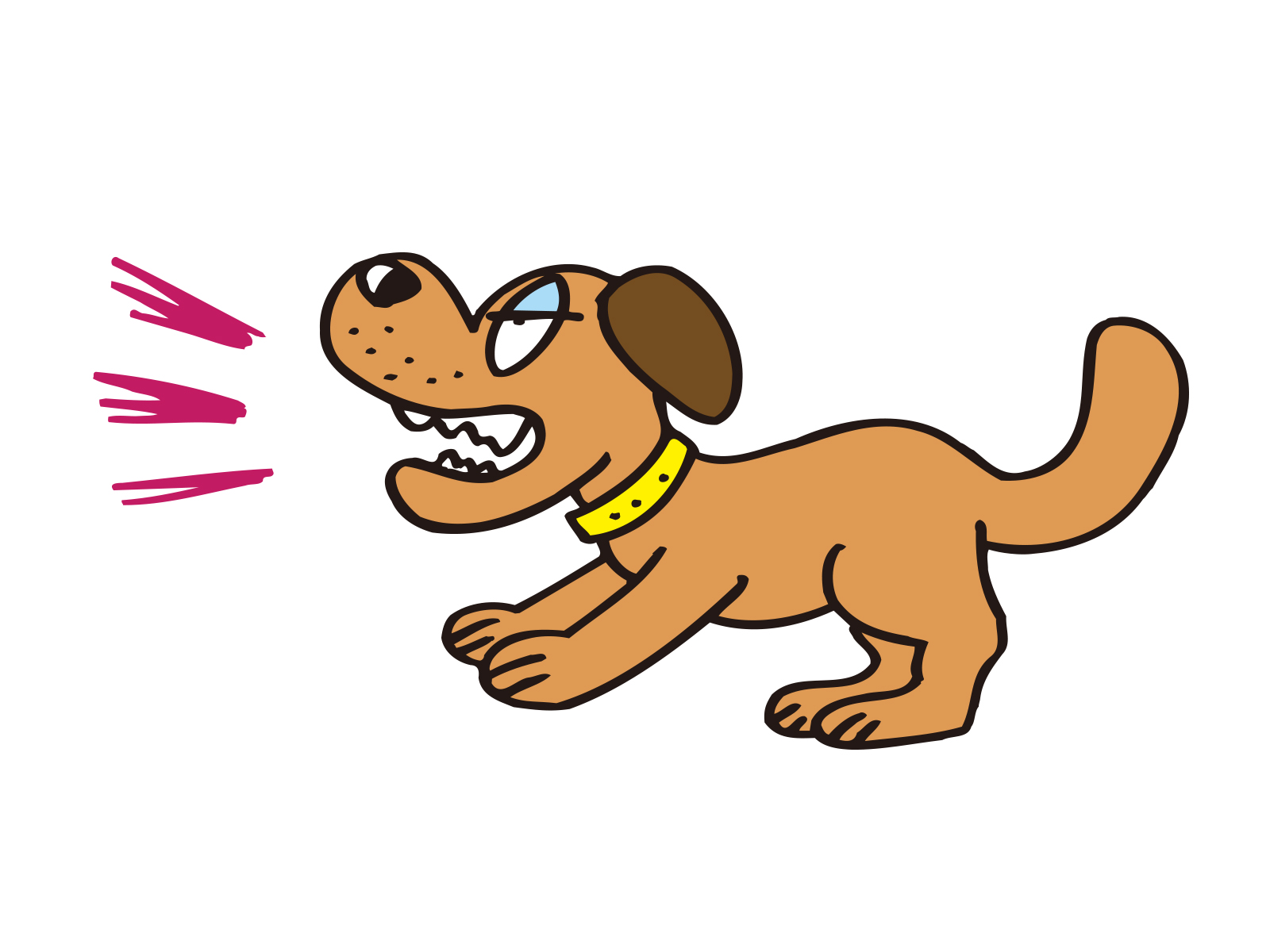 犬の吠えるについて注意すべきポイント 大阪で唯一 怖がり犬専門の幼稚園 訪問しつけはsmart Dogへ